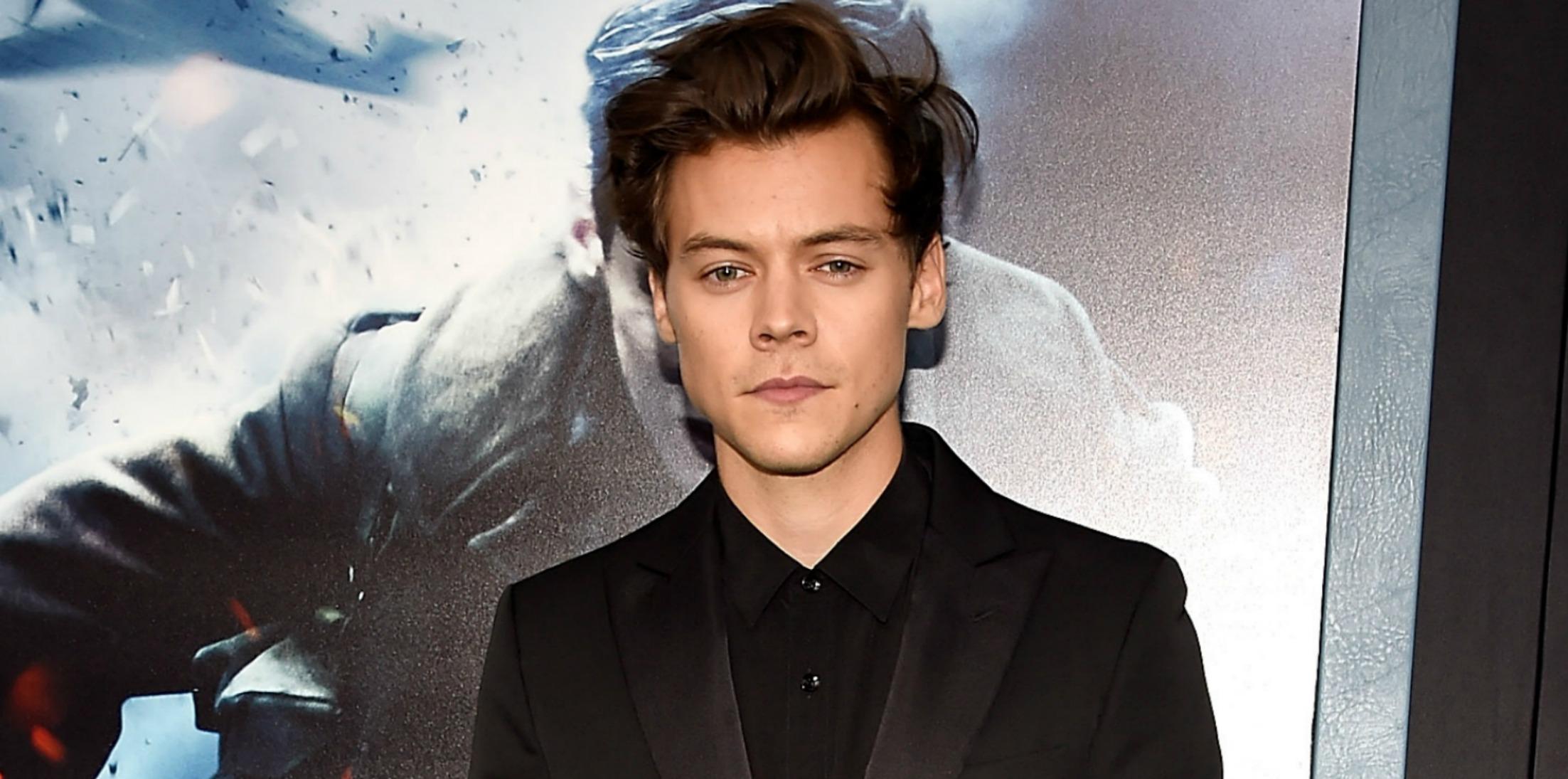 Harry Styles Dunkirk Stalkers Bodyguards Long