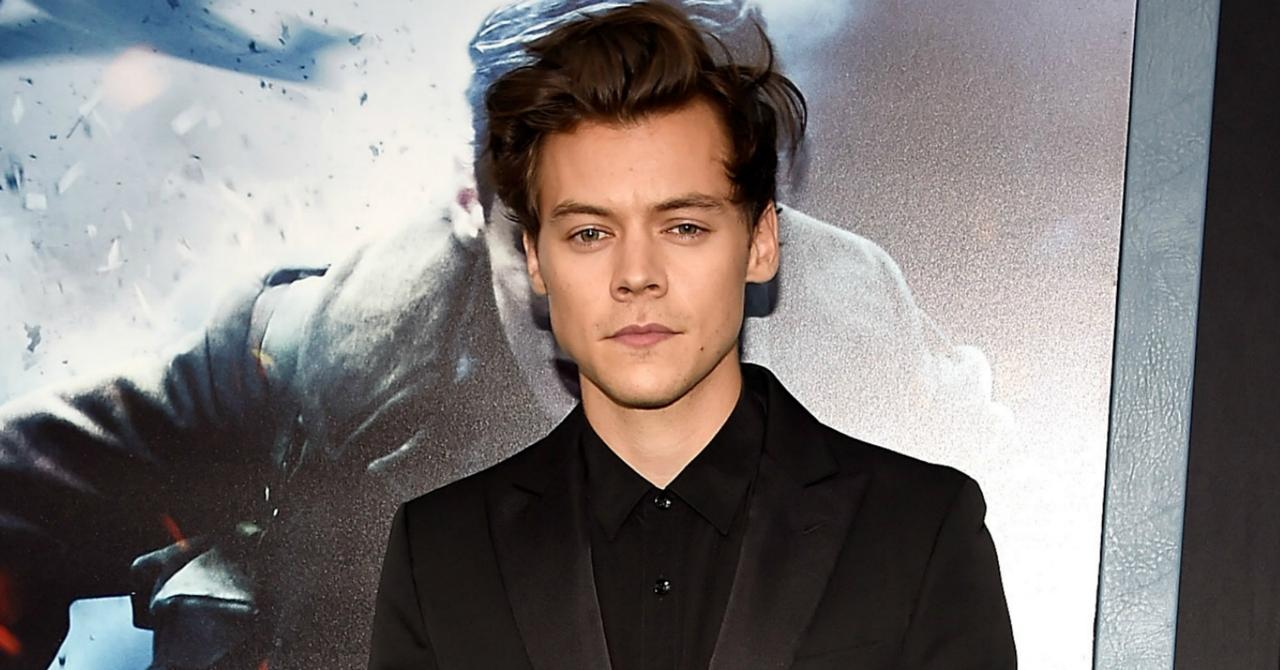 Harry Styles Gets Bodyguards To Protect From Stalkers On 'Dunkirk' Tour