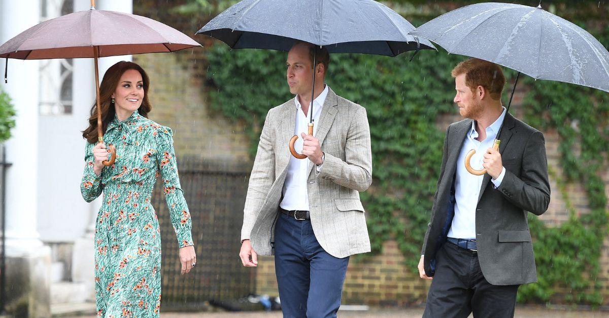 princess diana devastated prince william harry ruptured relationship