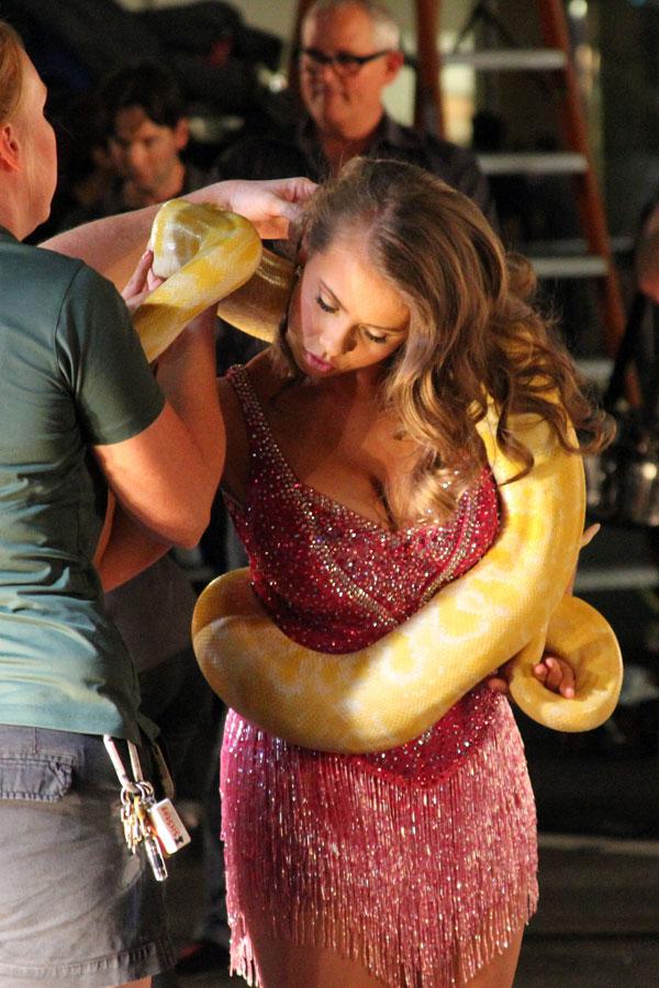 Bindi irwin dwts snake season 21 06