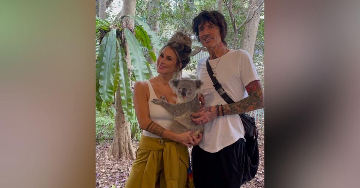 brittany furlan reveals strange way reconnected tommy lee catfish scandal