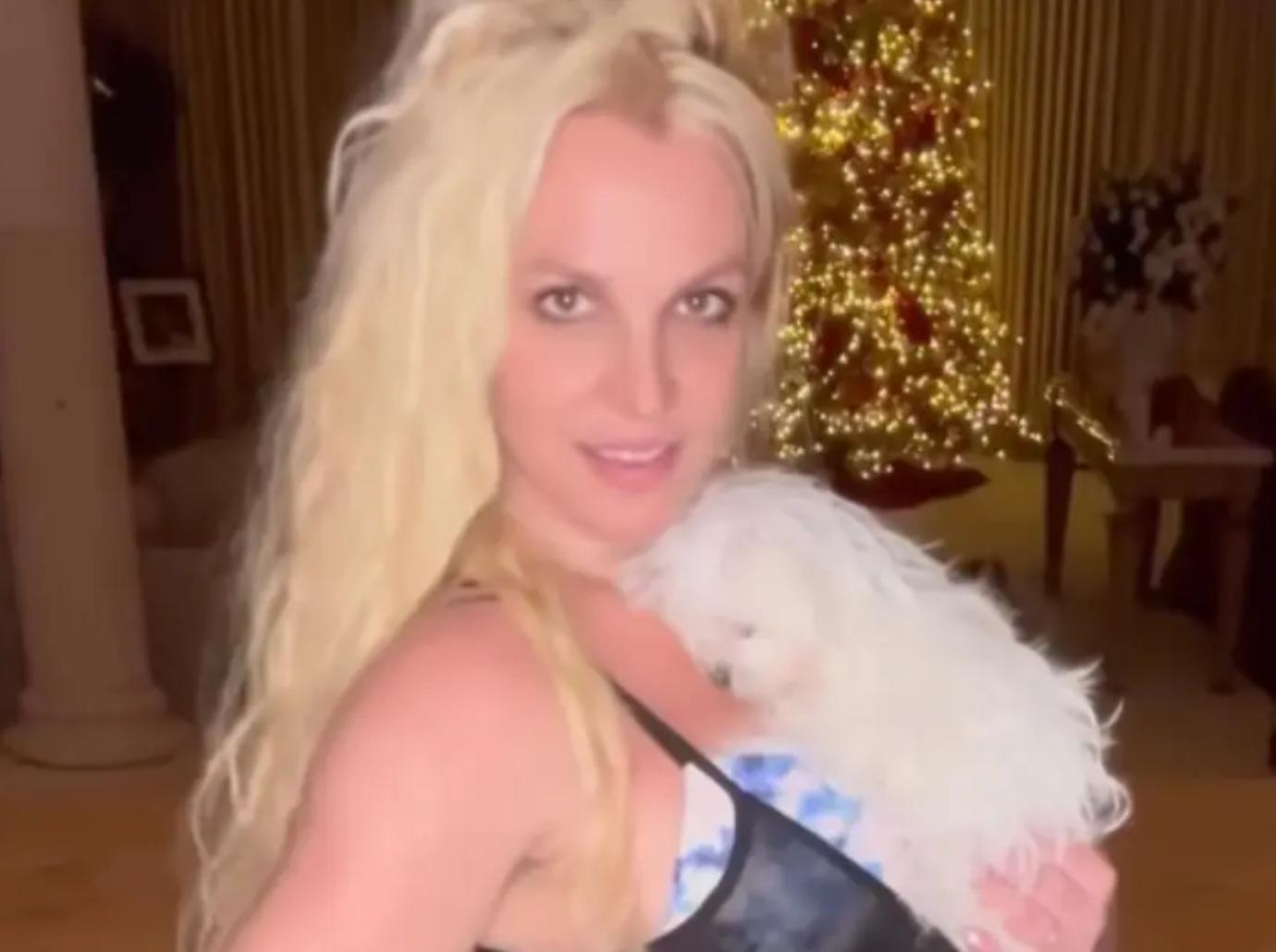 britney spears dog snow dress up pet watch