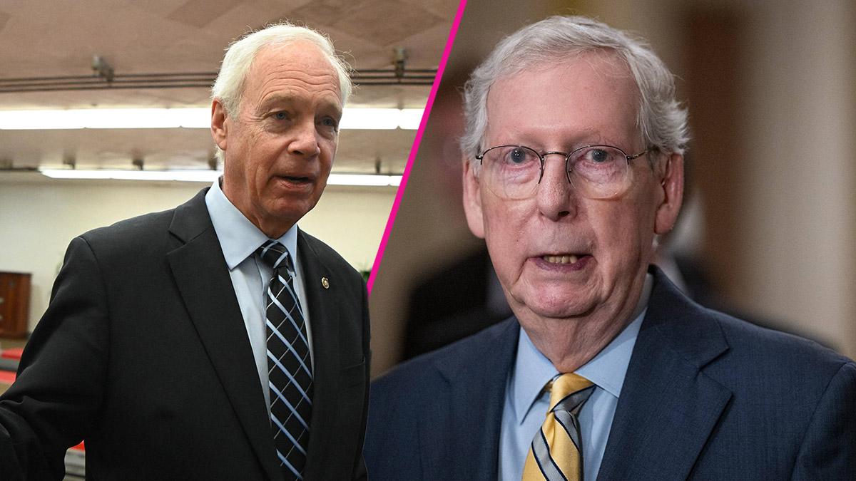 Sen. Ron Johnson,Mitch McConnell