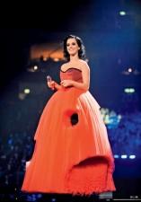 2009__11__kp6 157×225.jpg