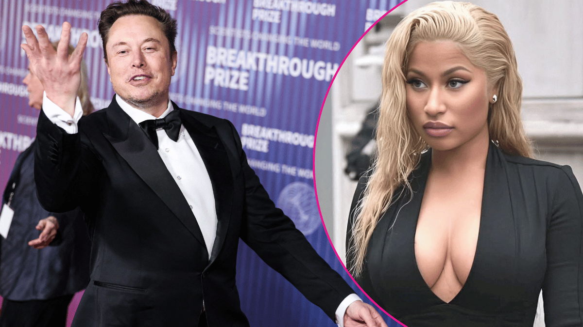 Elon Musk and Nicki MInaj