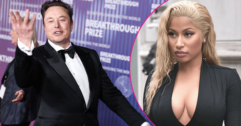 Elon Musk and Nicki MInaj