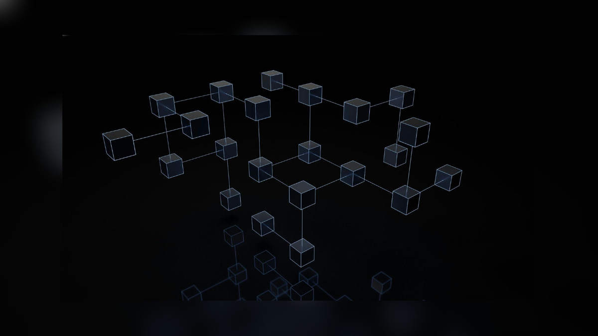 most popular blockchains and how crypto tokens are launched