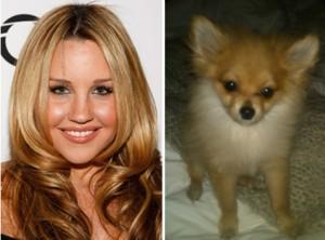 2011__04__Amanda_Bynes_Little_Angel_April5newsnea 300×222.jpg