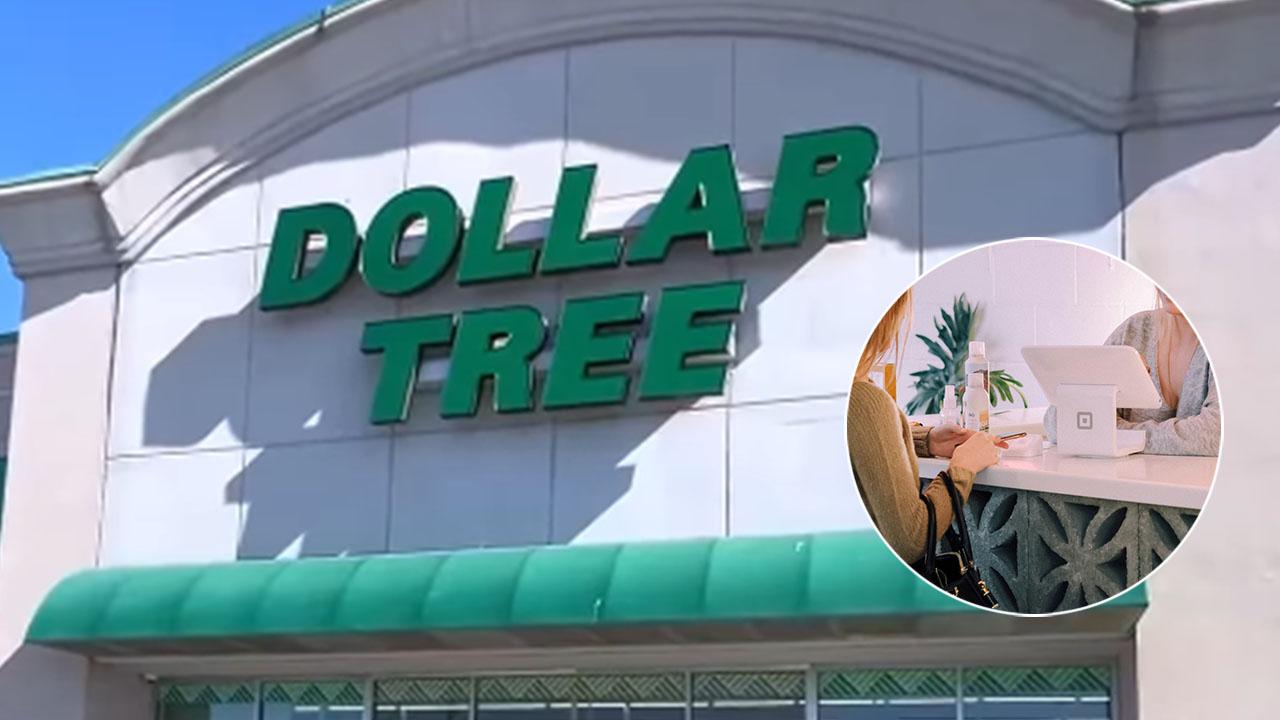 Composite photo of dollar tree.