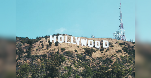 reynolds eclectic entrepreneurship is confusing the traditional celebrity formula