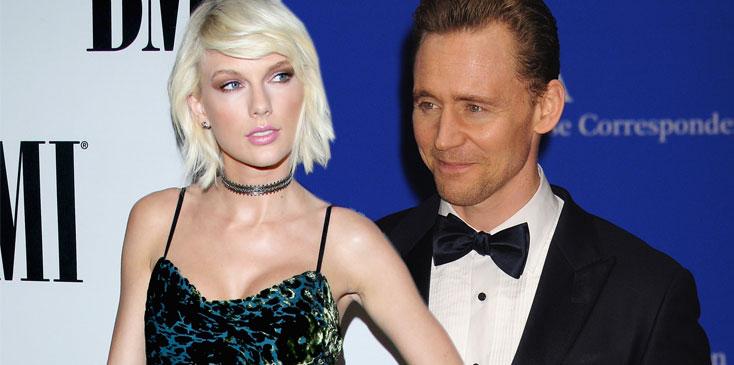 Taylor swift tom hiddleston hiddleswift serious dating cats family HERO