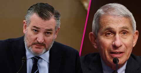 Sen. Ted Cruz ,Dr. Anthony Fauci