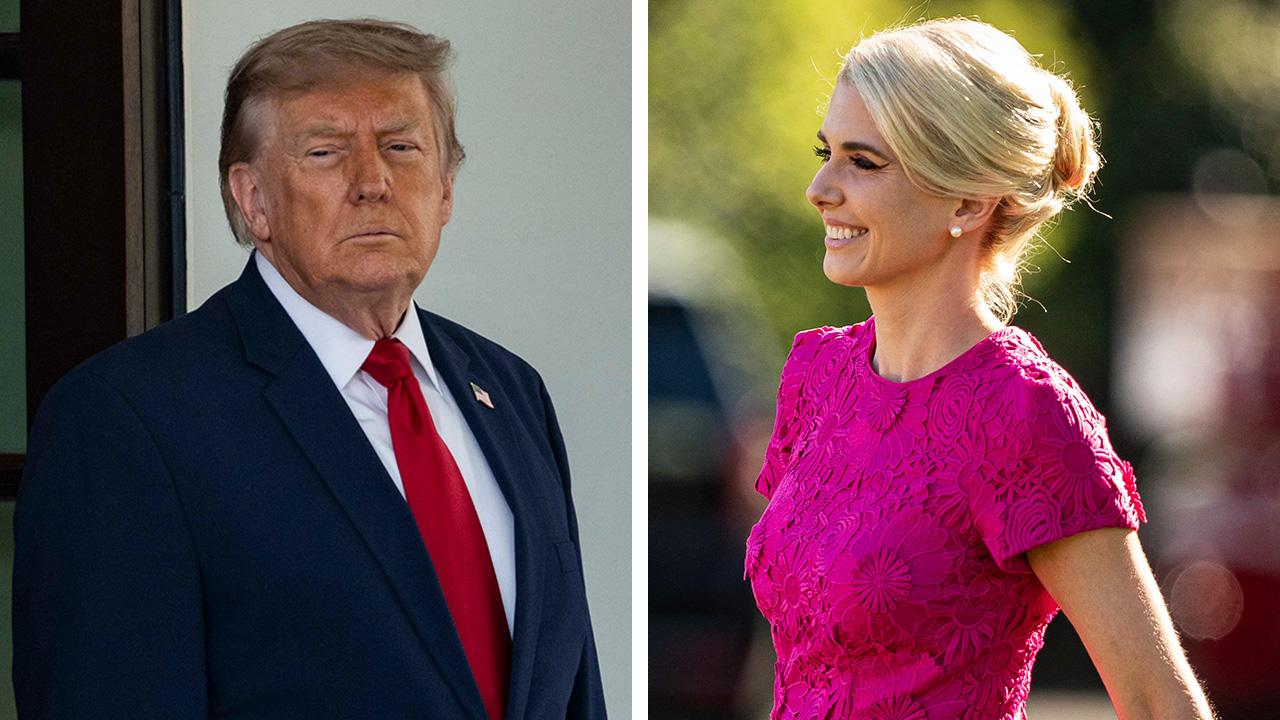 Donald Trump,Natalie Harp