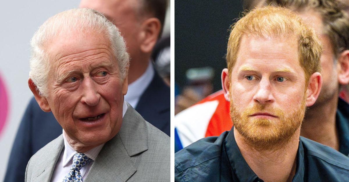 king charles prince harry secret alliance