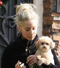 2010__01__wenn_tiz_prod 200×225.jpg