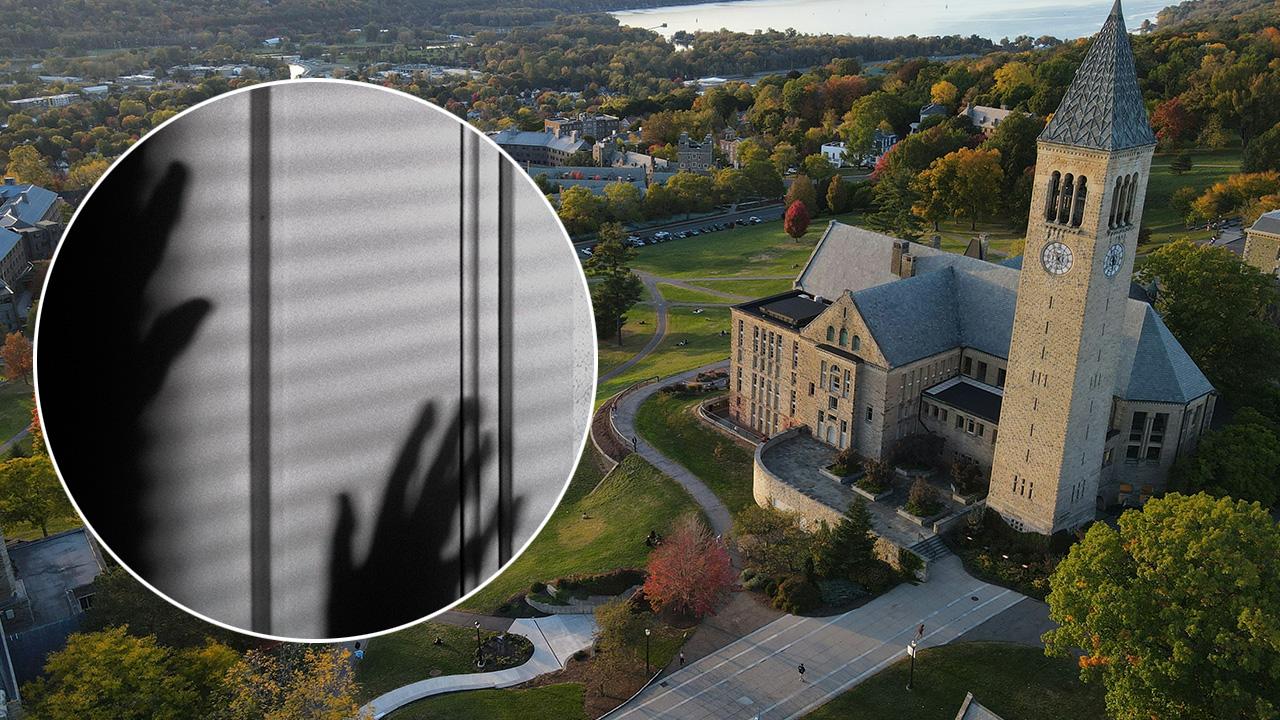 Cornell University 