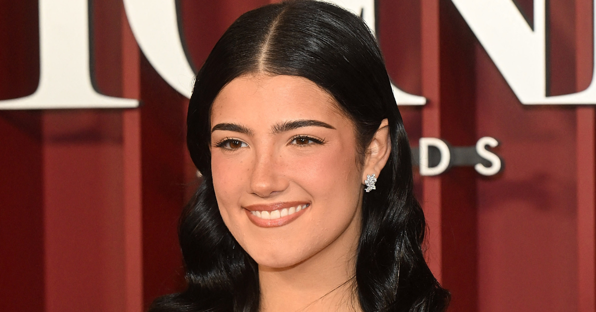 charli damelio cher halloween costume