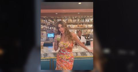 sofiavergaraeverythingbeok