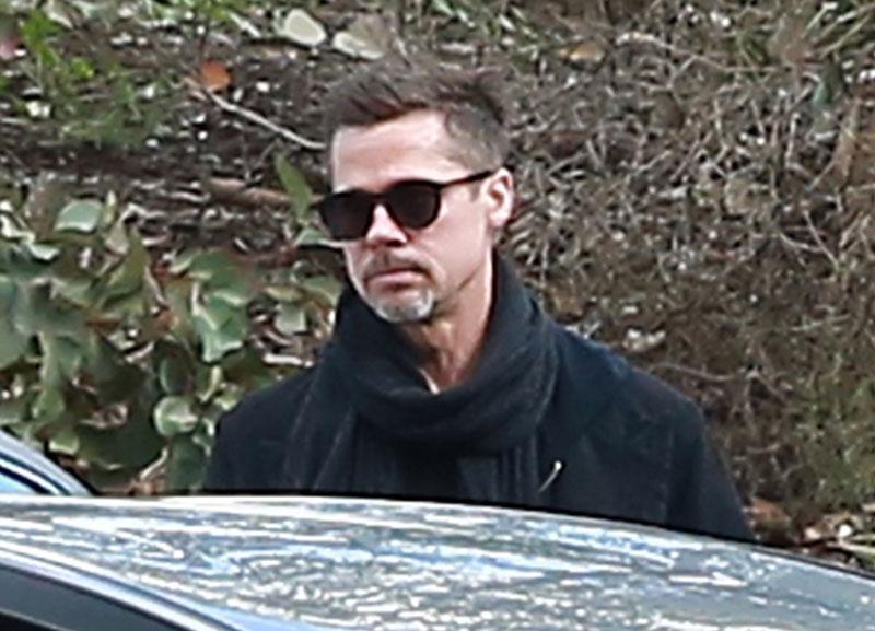 Brad pitt custody battle 06