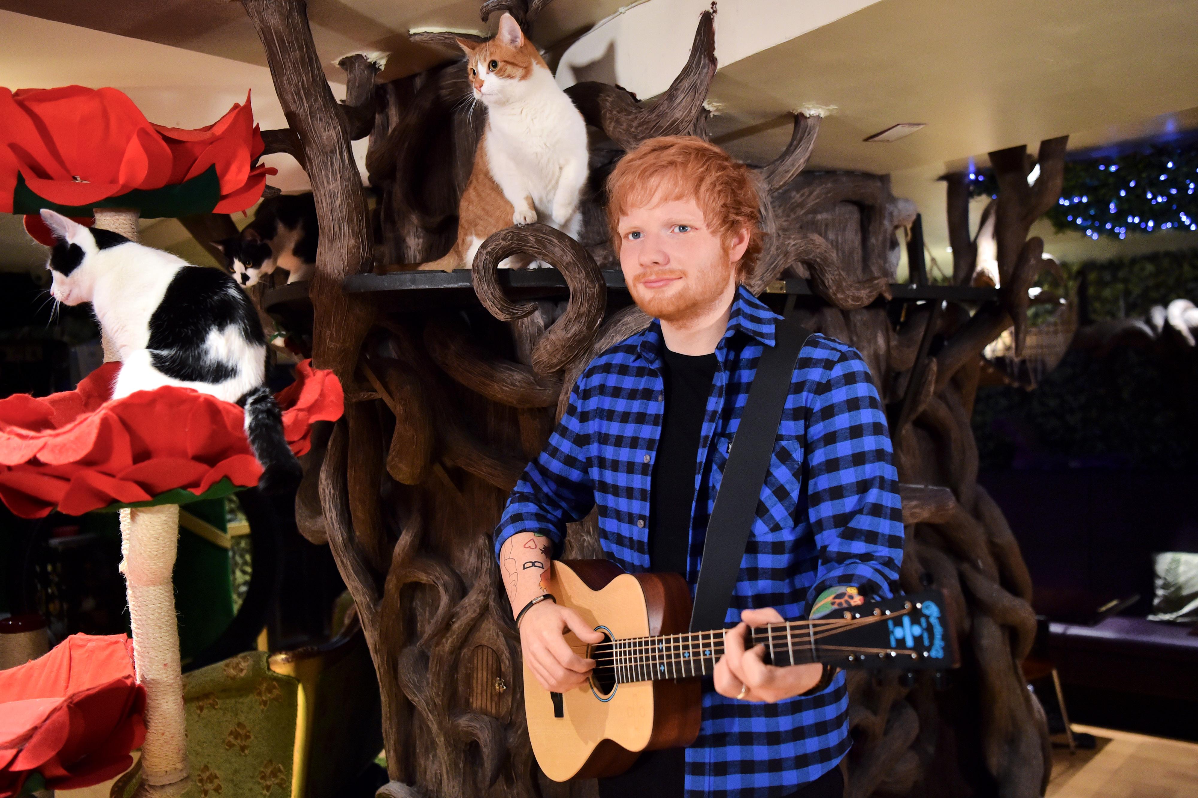 Ed Sheeran Wax Figure