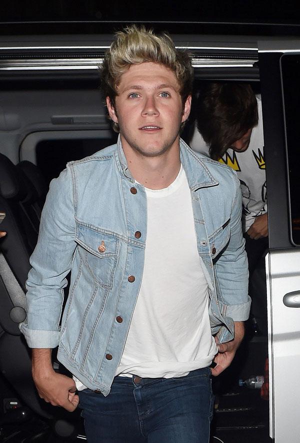 Niall Horan Wants To Marry Selena Gomez