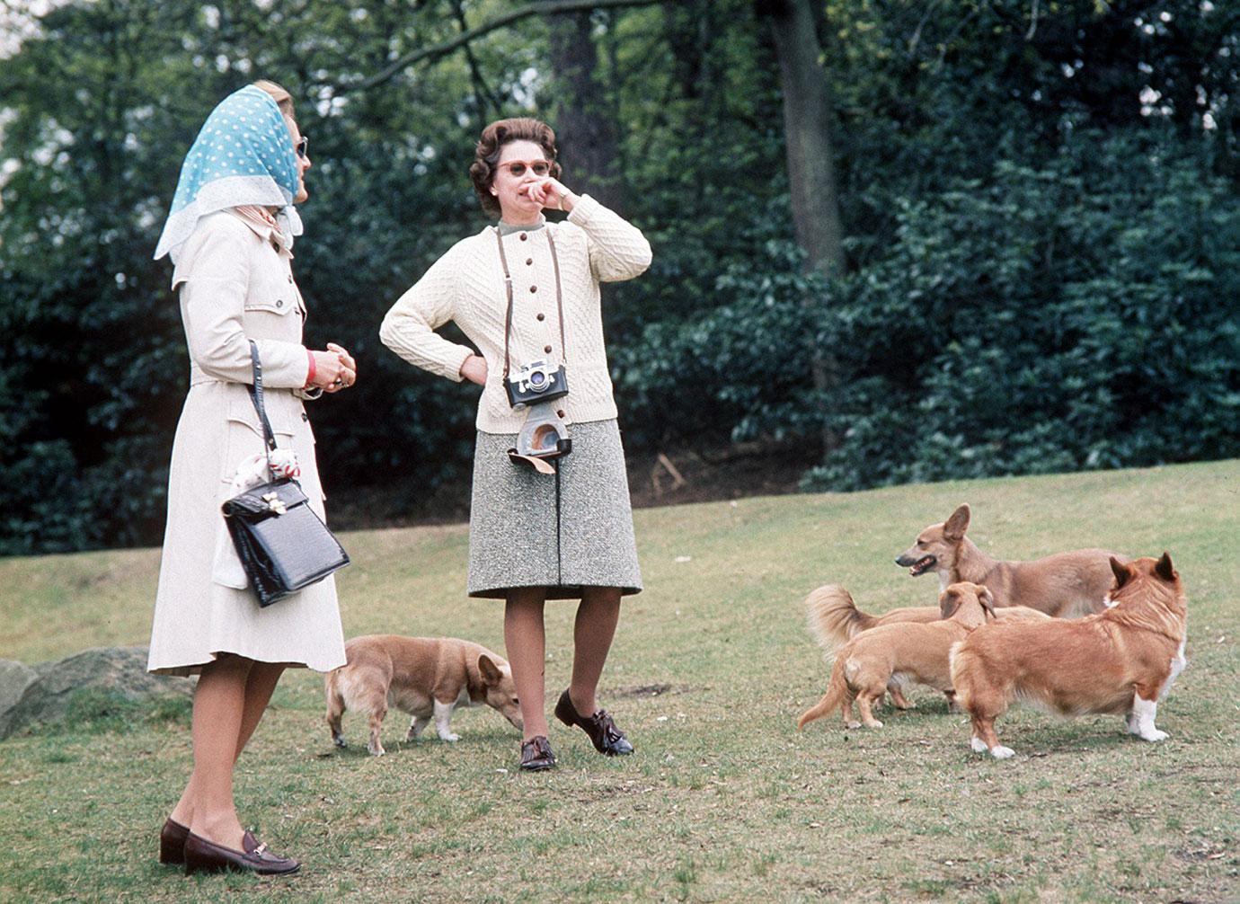 //Queen elizabeth II dogs photos