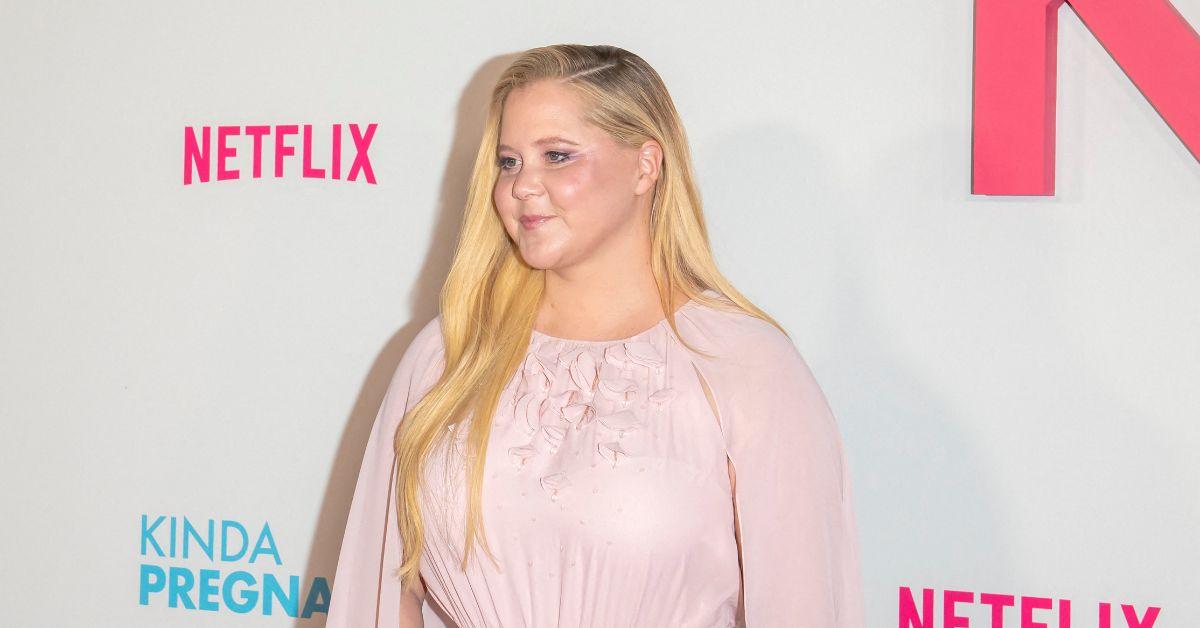 image of Amy Schumer explained why she deleted old Instagram photos.