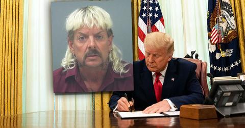 'Tiger King' Star Joe Exotic Sues DOJ In Hopes Of Presidential Pardon