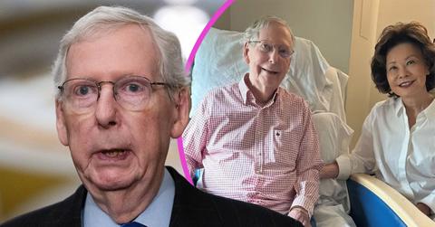 pic of Mitch McConnell and his wife.