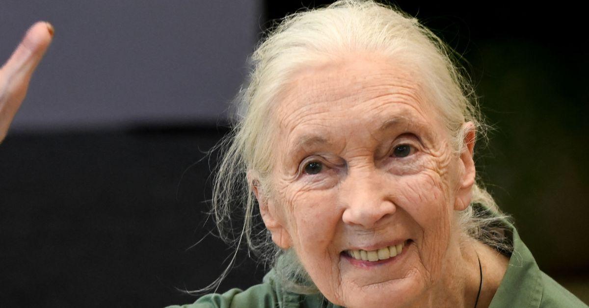 image of The star 'learned so much' about animals during her career. 