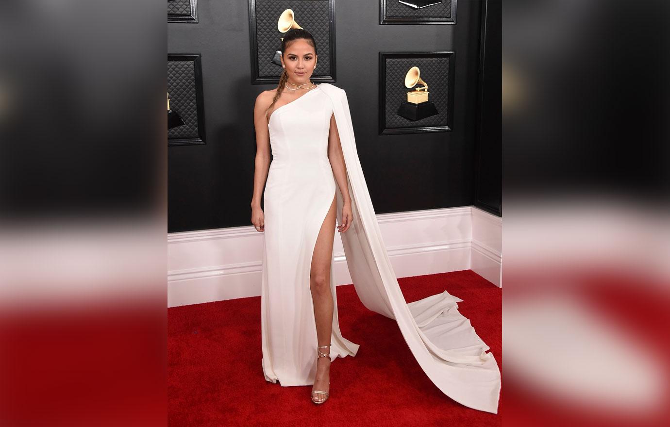 Grammy Awards 2020 Celebrity Red Carpet Arrival Photos Looks