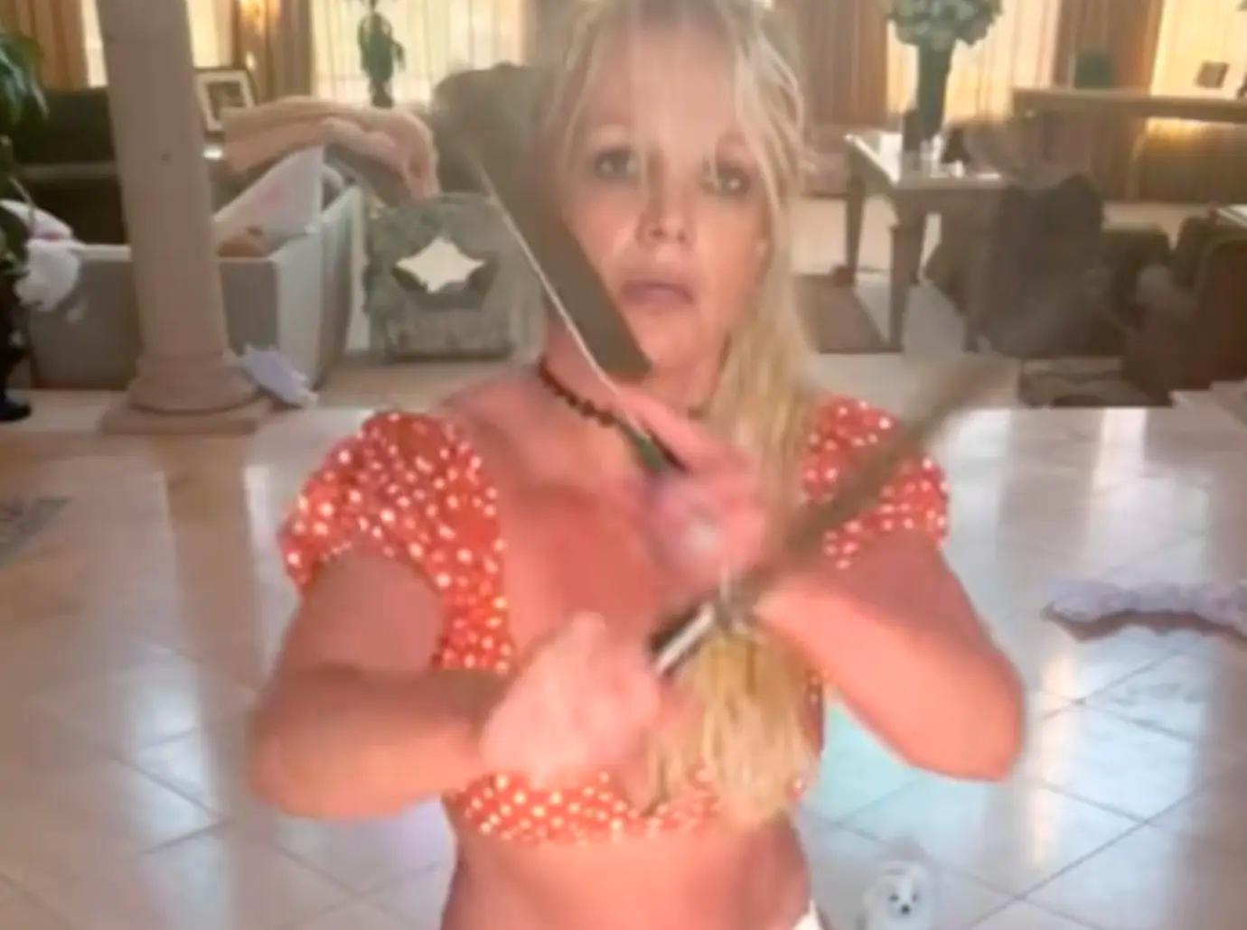 britney spears dogs knife video dangerous fans worried