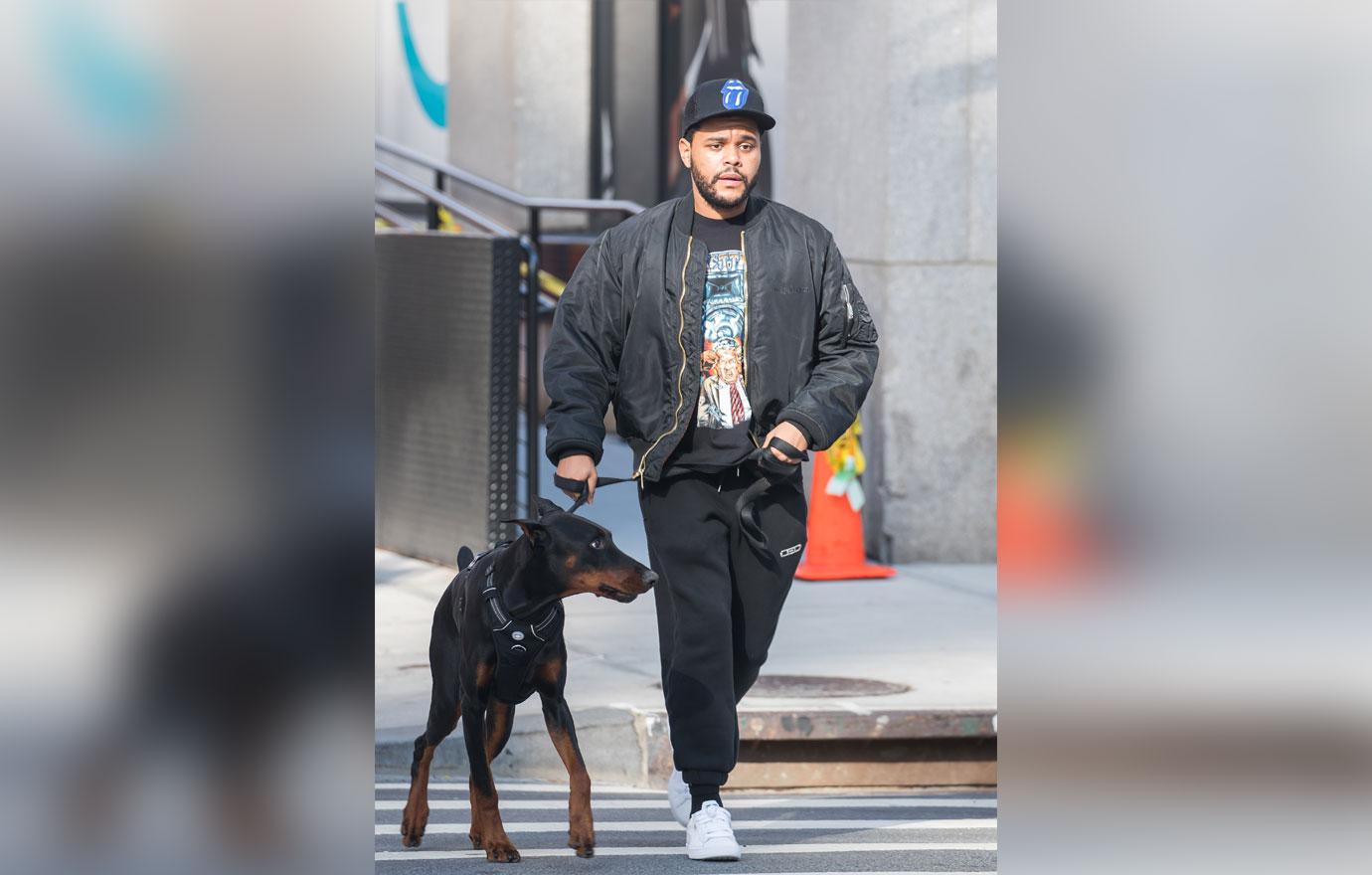 The Weeknd Bundles Up For Dog Walk In Cool NYC Weather: Photo 4175538, The  Weeknd Photos