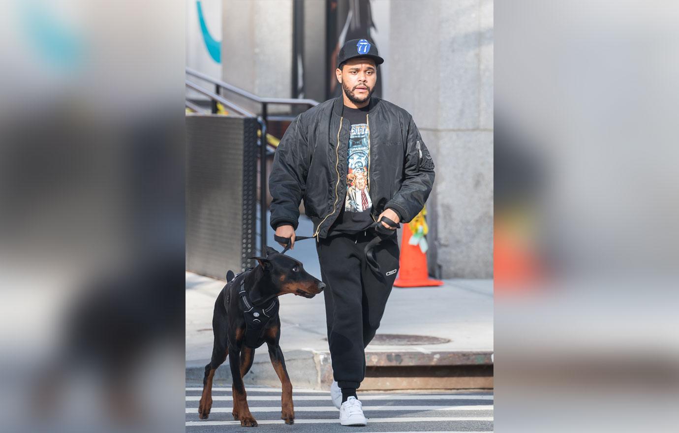 The Weeknd is seen out walking a doberman pinscher on November 3, News  Photo - Getty Images