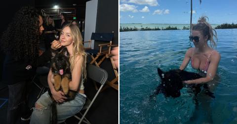 Two photos of Sydney Sweeney and her puppy.