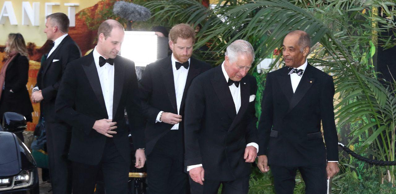 king charles snubs prince harry gives prince william military role