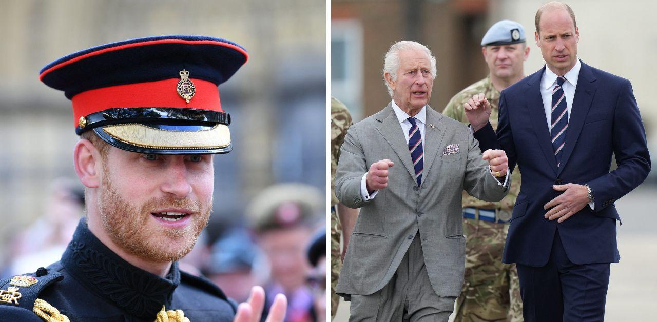 king charles appoints prince william military role linked prince harry