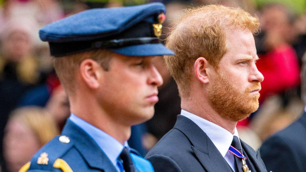 image of prince harry and prince William