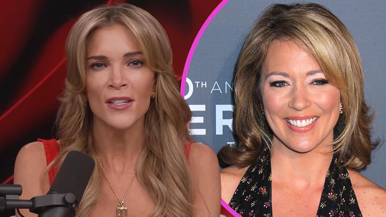 Image of Megyn Kelly went on a verbal attack against Brooke Baldwin over her 'journey of awakening.'