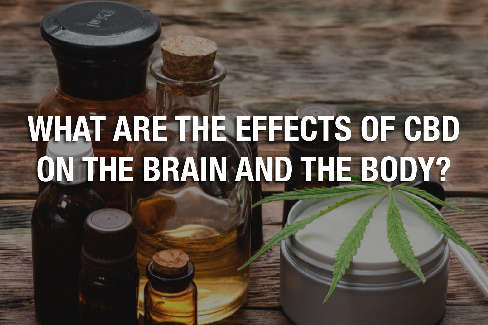 What Are the Effects of CBD on the Brain and the Body? 