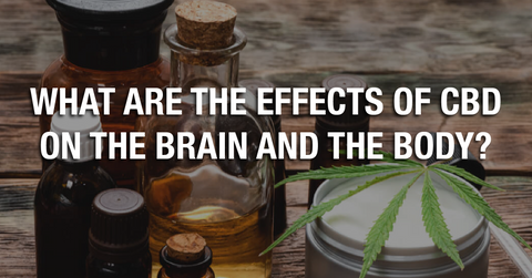 What Are the Effects of CBD on the Brain and the Body?