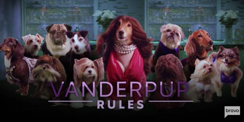 Vanderpump Rules Dog PP