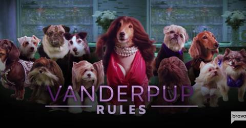 Vanderpump Rules Dog PP