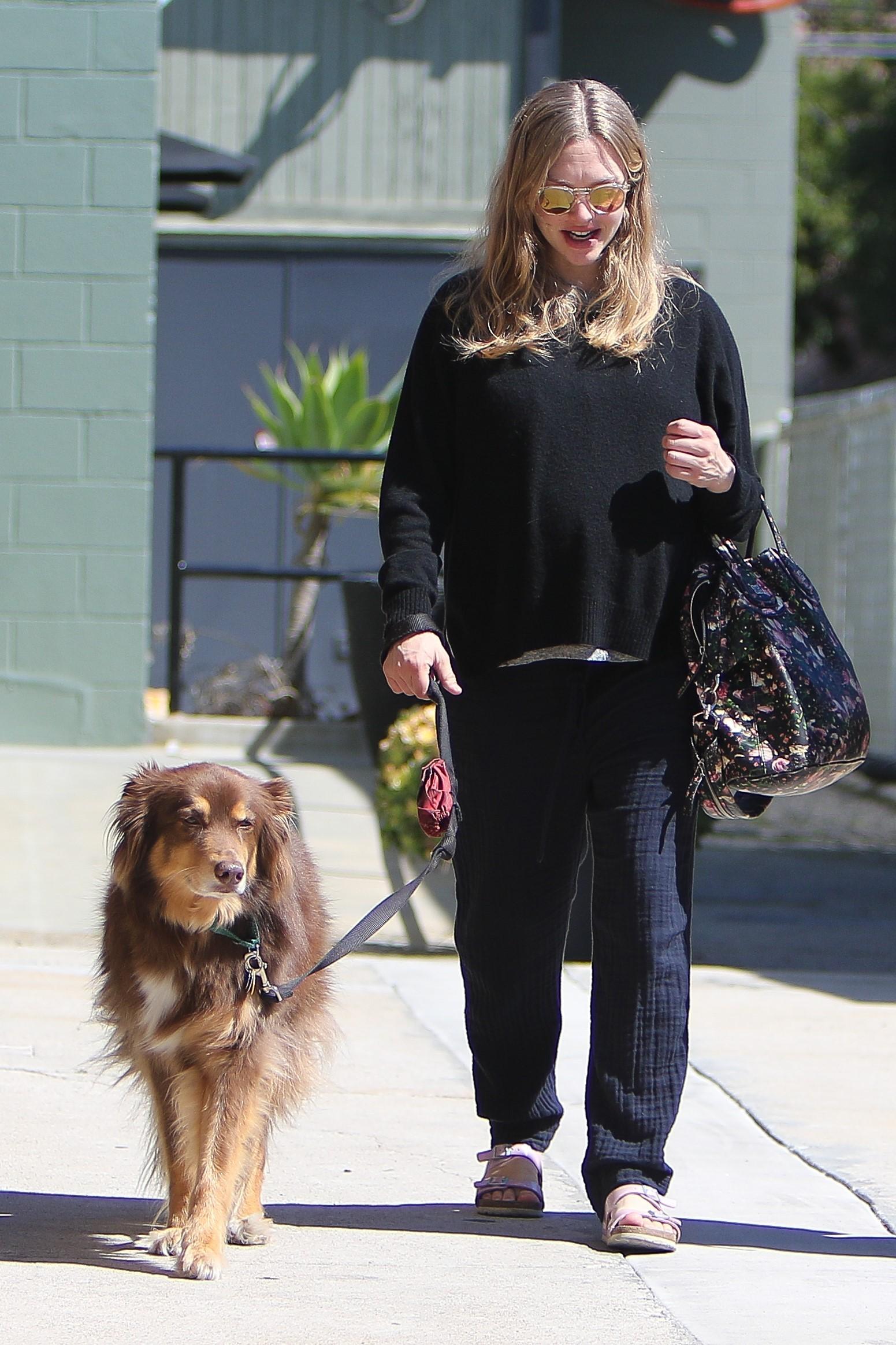 Pregnant Amanda Seyfried takes Finn for a walk with a friend