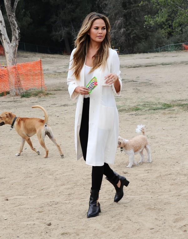 Chrissy Teigen at The Dog Park