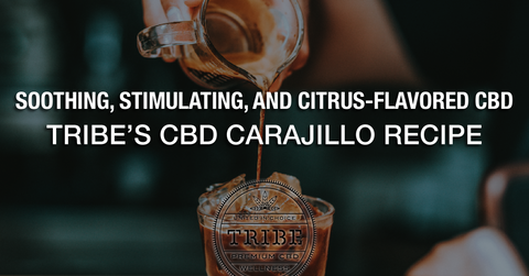 Soothing, Stimulating, And Citrus-Flavored CBD! – Tribe’s CBD Carajillo Recipe