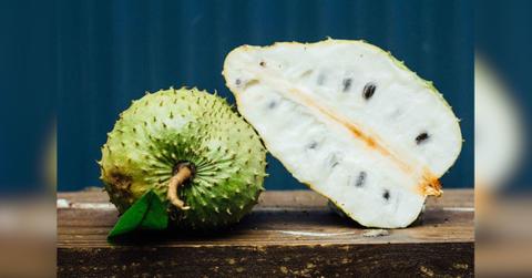 buy soursop online in the usa fresh from gabriel fruits farm us