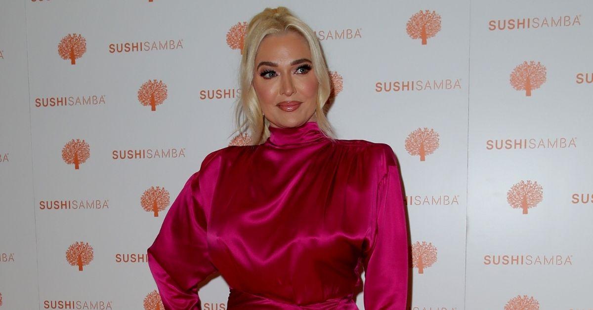 erika jayne describes perfect man money intelligence tom girardi