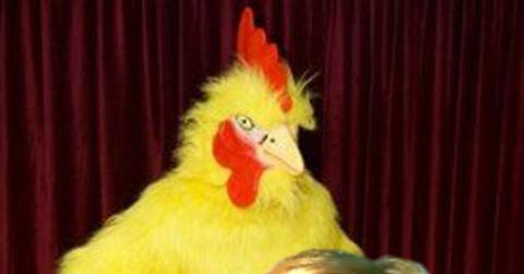 Celebrity jobs before famous brad pitt