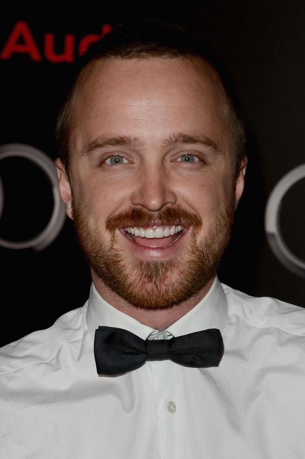 Aaron Paul